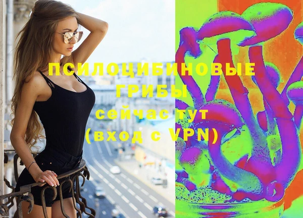 стафф Аркадак