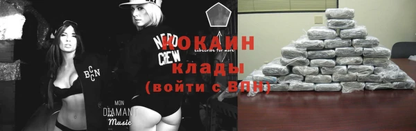 твердый Арсеньев