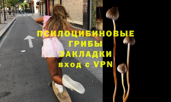 стафф Аркадак