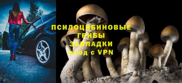 эйфоретик Армянск