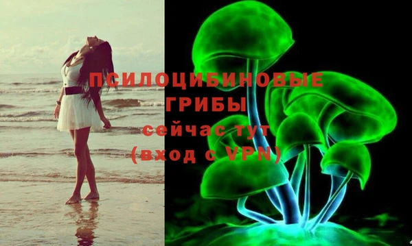твердый Арсеньев