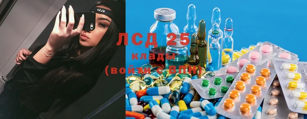 твердый Арсеньев